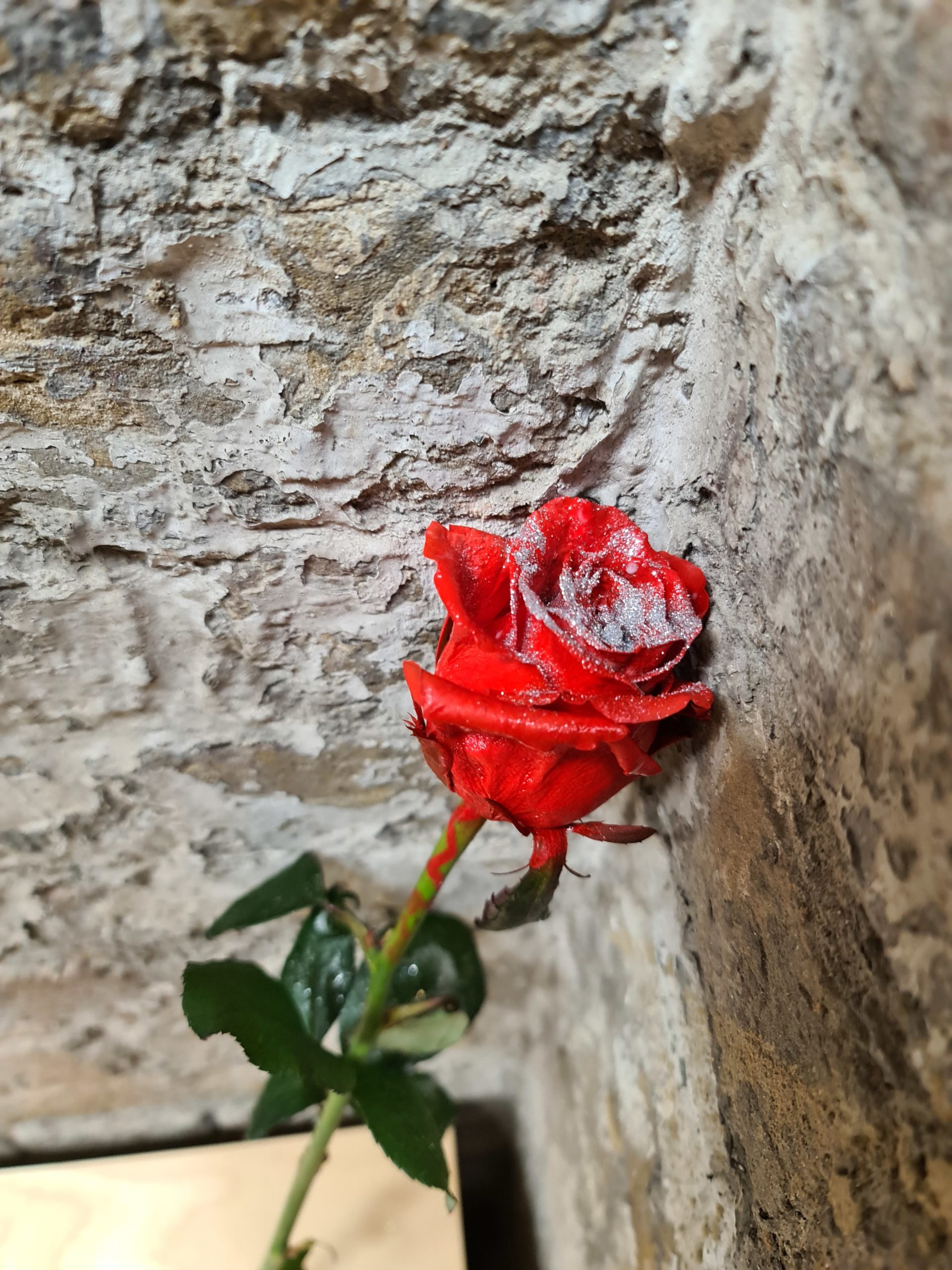 The Diamond Red Roses